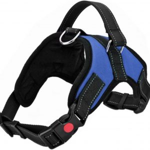 FYY Dog Harness No Pull, Breathable Adjustable Pet Harness Dog Vest Harness, Reflective Oxford Easy Control Dog Harness with Sturdy Handle for Small Medium Large Dogs M-Blue