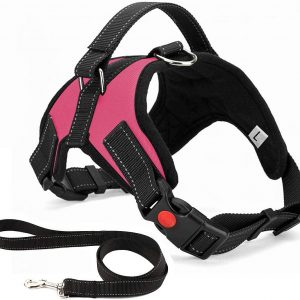 Musonic No Pull Dog Harness Breathable Adjustable Comfort Free Lead Included for Small Medium Large Dog Best for Training Walking M Pink