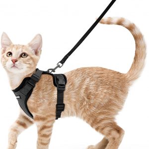 rabbitgoo Escape-Proof Cat Kitten Harness with Leash Set for Walking, Kitty Small Dog Harness with Leash Adjustable Reflective Strips Vest Harnesses for Small Medium Cats, XS Black