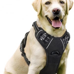 rabbitgoo Dog Harness Large Dog No Pull Pet Harness with 2 Leash Clips, Adjustable Soft Padded Pet Vest Harness, Reflective No-Choke with Easy Control Handle for Training or Walking, Black, L