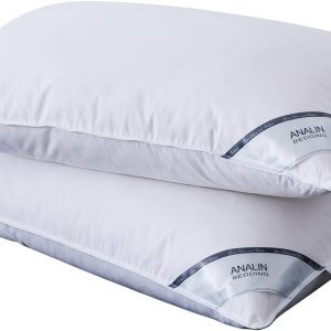 ANALIN 2 Pack Goose Feather Down Pillows, 100% Cotton Shell, Non-allergenic & Anti dust mite, Soft Hotel Quality Pillows (15% Goose Down)
