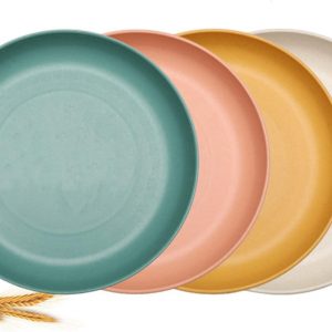 Aokelily Unbreakable Dinner Plates and Lightweight Salad Plates-Dishwasher & Microwave Safe Plates Set of 4