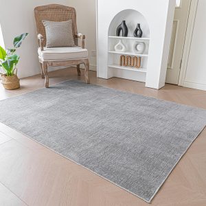 Evitany Short Pile Carpet, Area Rugs Machine Washable Room Rug Anti-Slip Rug Soft Chenille Carpets Bedside Rugs for Bedrooms,Grey,60×120 cm
