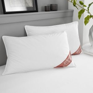 GC GAVENO CAVAILIA Duck Feather Pillows 2 Pack, Comfy Hotel Quality Pillow Pair, Washable Head Support Down Pillow, White, (50×70 cm)
