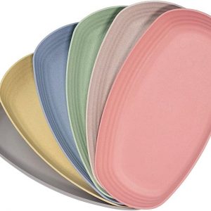 Hobein Large Dinner Plates, 11 Inch 6 Color Family Plates Set of 6, Dishwasher and Microwave Safe, Unbreakable and Lightweight, Healthy for Kids (11 inch)