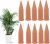 WUJUN Plant Watering Stakes10 Pack Automatic Plant Waterers for Vacations, Plant Watering Devices Terracotta Self Watering Spikes for Wine Bottles Great Plant for Indoor & Outdoor Plants