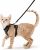 rabbitgoo Escape-Proof Cat Kitten Harness with Leash Set for Walking, Kitty Small Dog Harness with Leash Adjustable Reflective Strips Vest Harnesses for Small Medium Cats, XS Black
