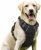 rabbitgoo Dog Harness Large Dog No Pull Pet Harness with 2 Leash Clips, Adjustable Soft Padded Pet Vest Harness, Reflective No-Choke with Easy Control Handle for Training or Walking, Black, L