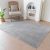 Evitany Short Pile Carpet, Area Rugs Machine Washable Room Rug Anti-Slip Rug Soft Chenille Carpets Bedside Rugs for Bedrooms,Grey,60×120 cm