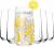 Homiu Highball Drinking Tumbler Glasses | Set of 6 | 480ML | Crystal Glasses | Highball Glasses | Drinking Glassware | Florence Collection | Dishwasher Safe
