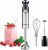 Mueller Ultra-Stick 500 Watt 9-Speed Immersion Multi-Purpose Hand Blender Heavy Duty Copper Motor Brushed 304 Stainless Steel With Whisk, Milk Frother Attachments